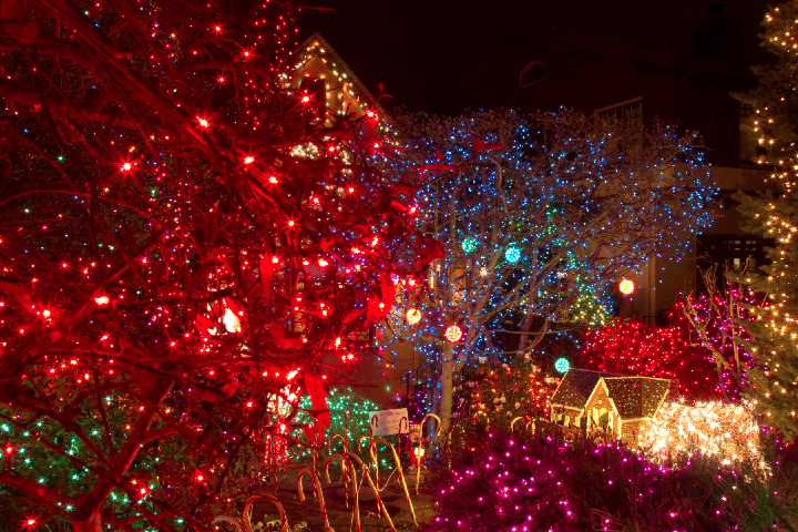 928 Arlington Berkeley Christmas Lights